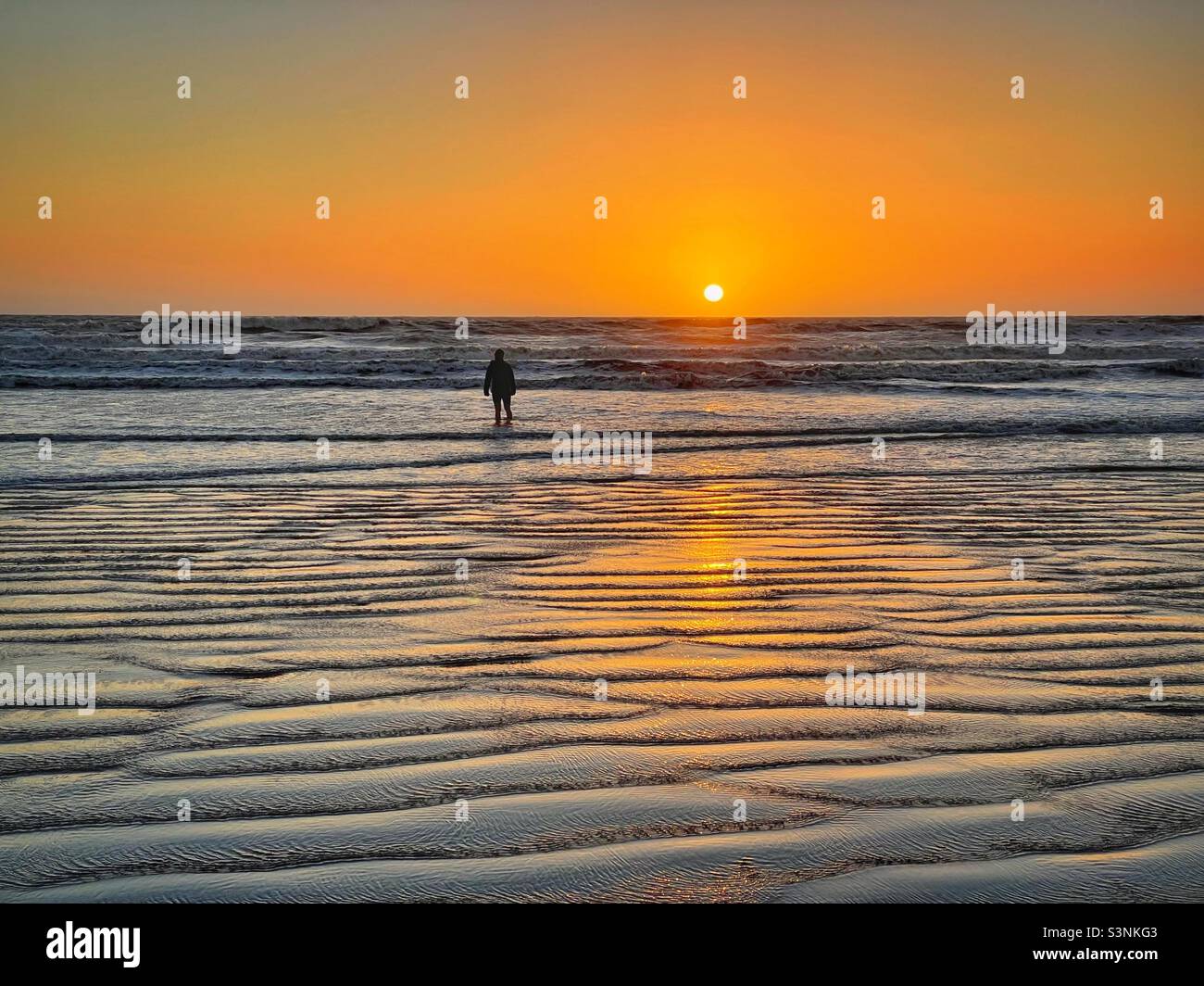 Lone silhouetted figure in the sea at sunset on the South Wales coast, Rest Bay, February. Stock Photo