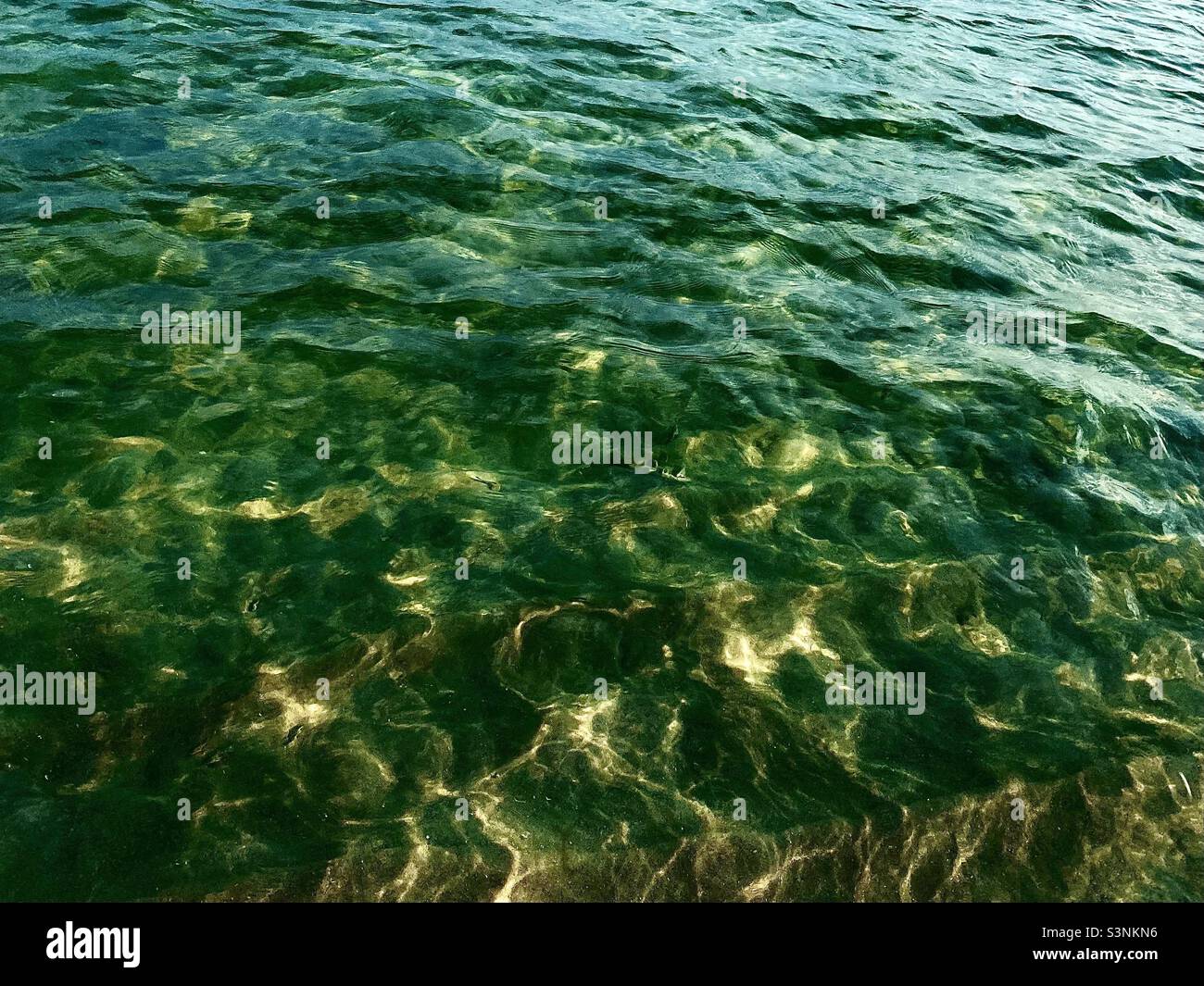 Emerald green ocean water in the sunshine, emerald coast, Gulf of
