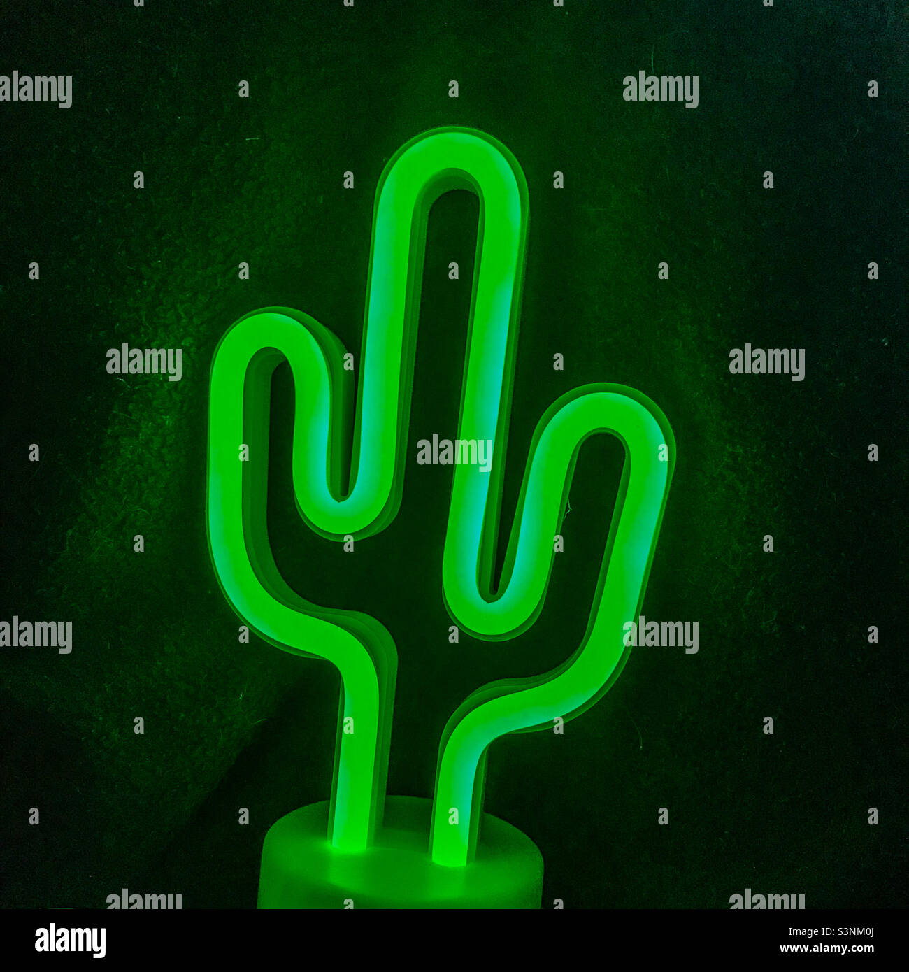 Neon cactus light - Smartphone Captured Stock Image
