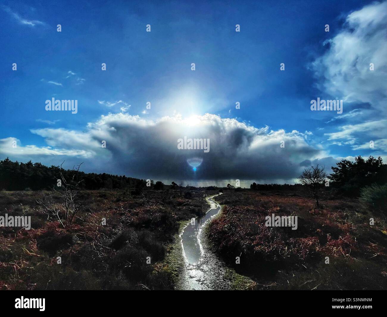Sutton Heath Suffolk England - Smartphone Captured Stock Image