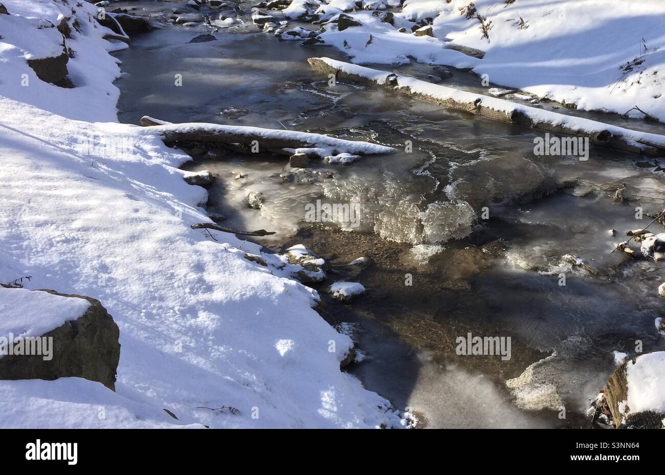 Ice formation on a forest stream on a winter morning Stock Photo