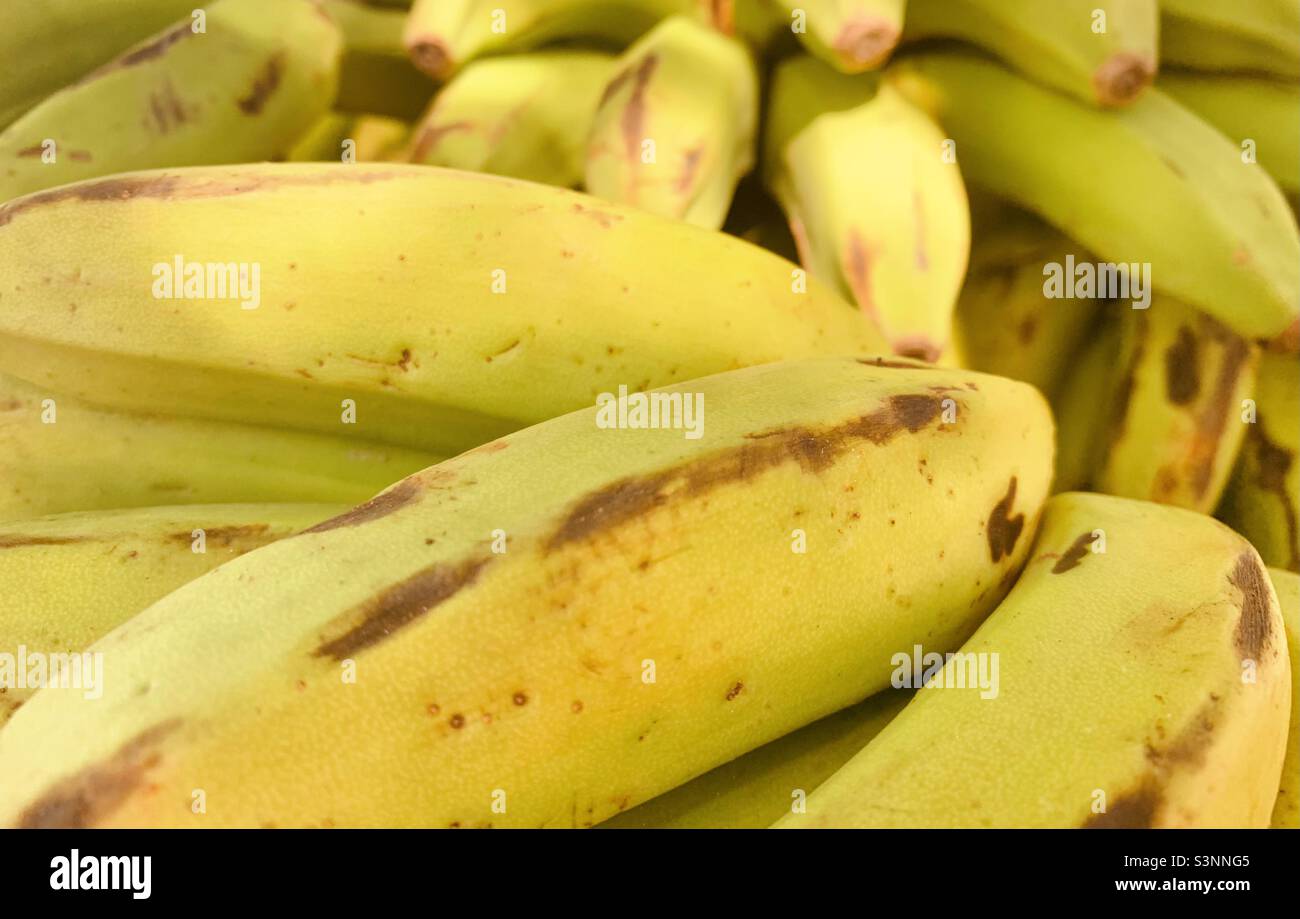 Organic bananas background. Havana, cuba. Organic fruit Concept Stock Photo