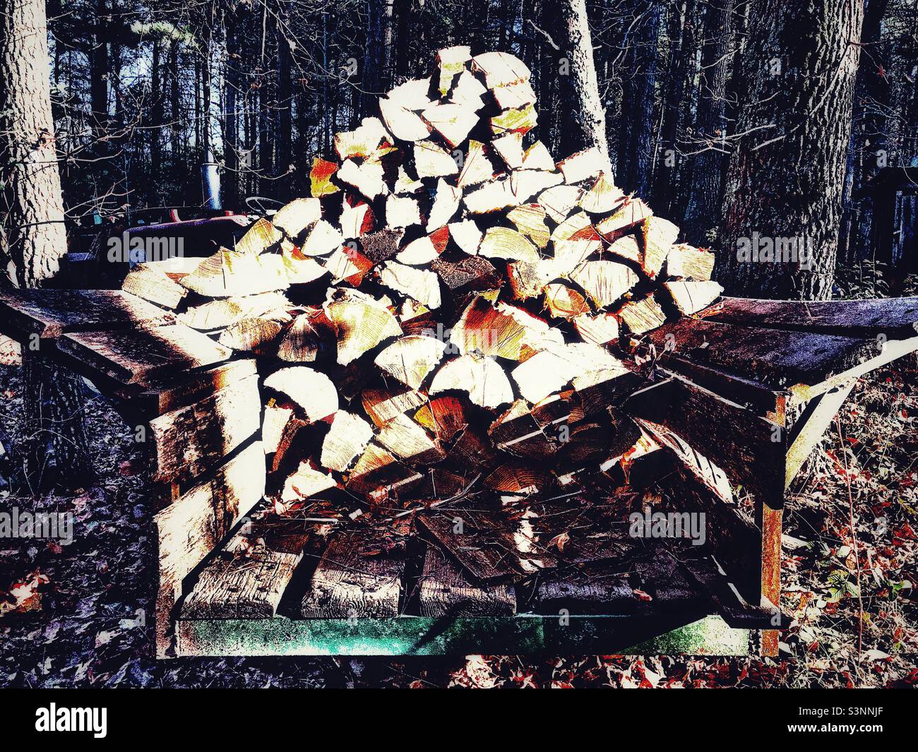 Wooden trailer stacked with firewood Stock Photo