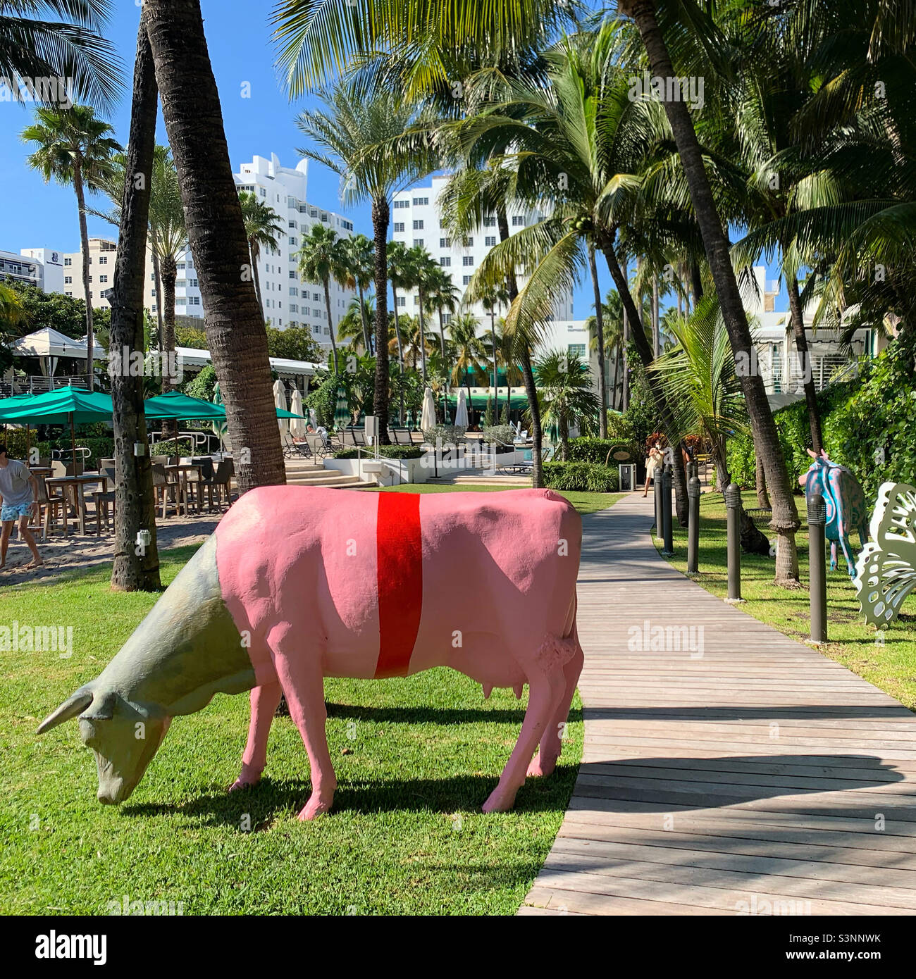 January, 2022, grounds between the hotel and the beach, Kimpton Surfcomber Hotel, South Beach, Miami Beach, Florida, United States, North America - Smartphone Captured Stock Image