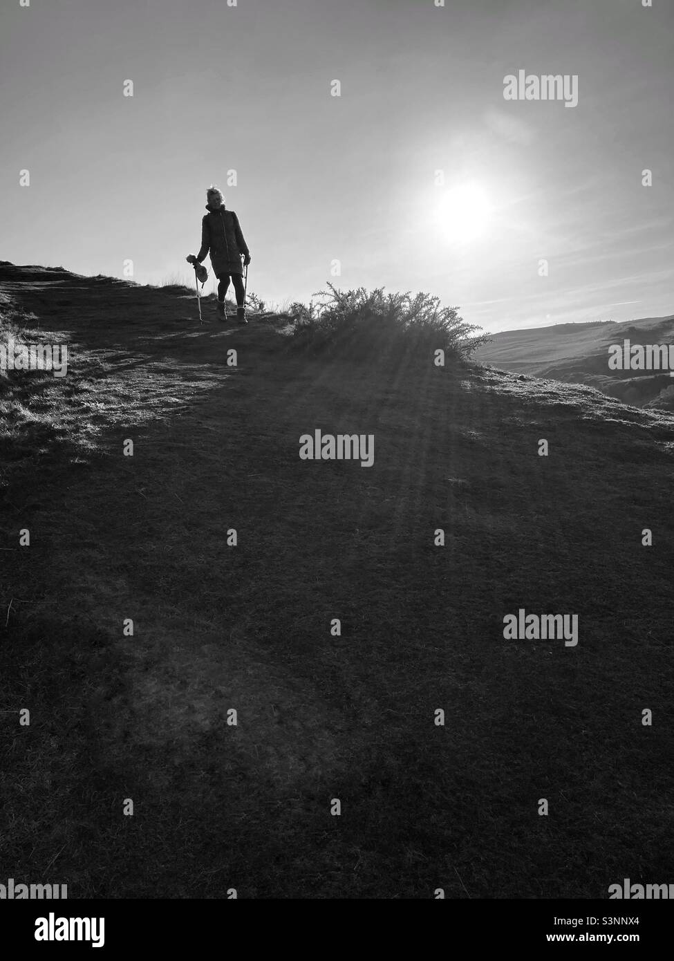 Woman walker on a hill backlit with midday sun - Smartphone Captured Stock Image