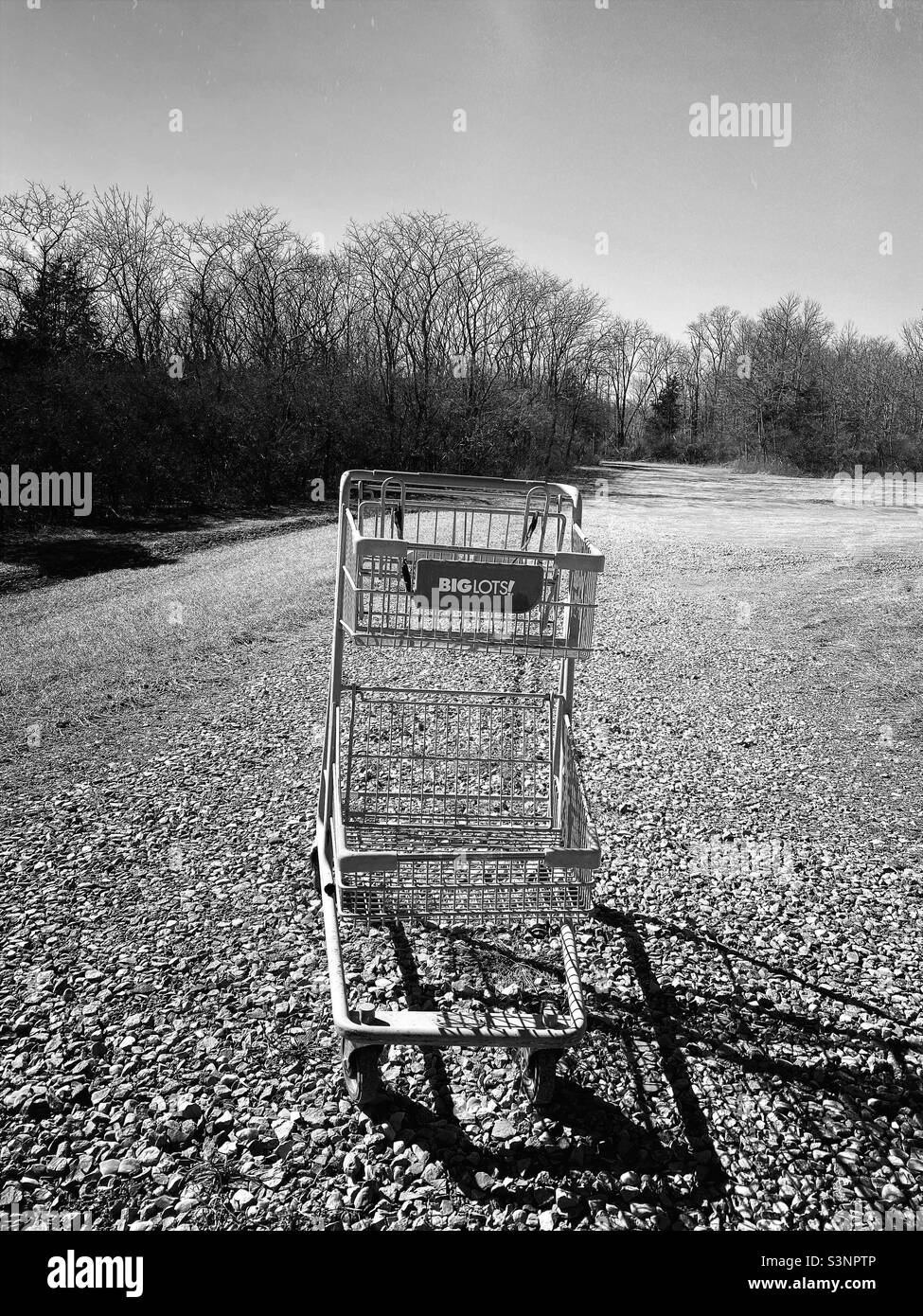 An unexpected find while walking in a park; a Big Lots cart. B/W - Smartphone Captured Stock Image