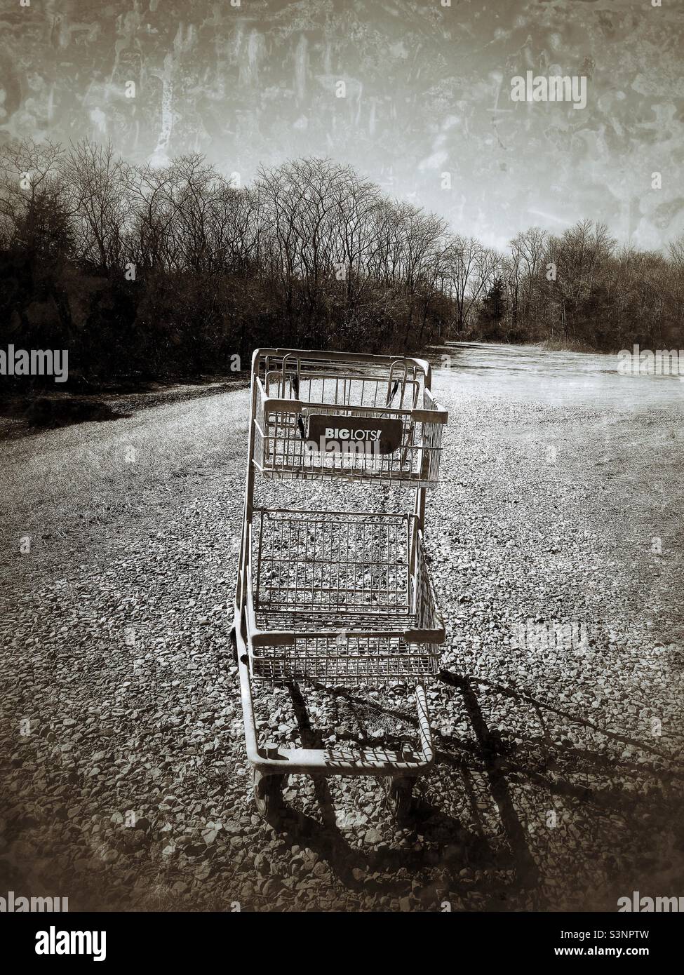 An unexpected find while walking in a park; a Big Lots cart. B/w grunge - Smartphone Captured Stock Image