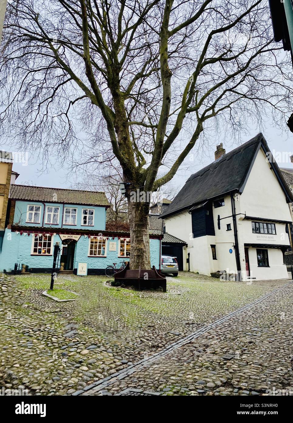 Exploring Norwich The Jade Tree Arts & Crafts Gift Shop and Britons
