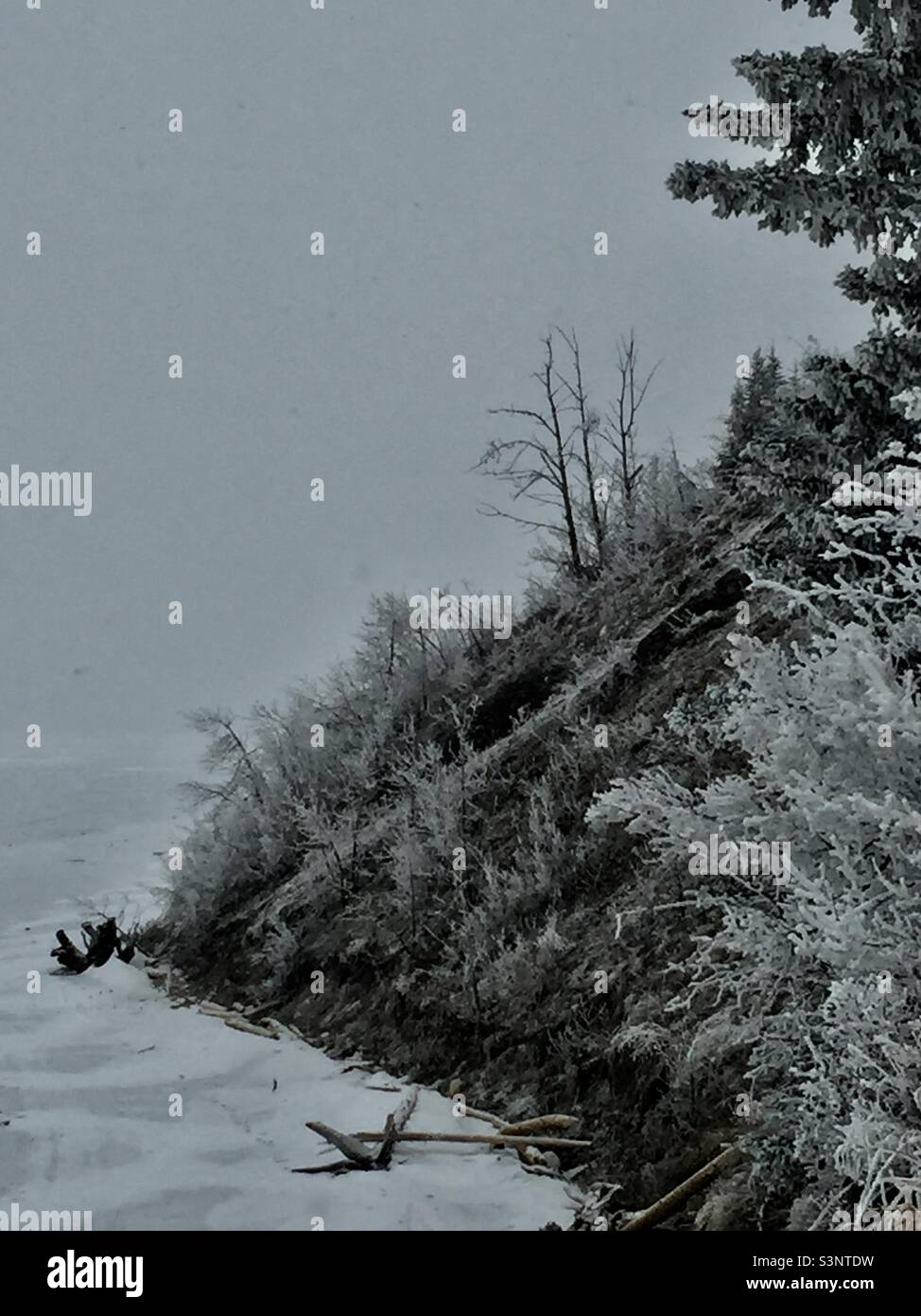 Hoar frost, Ghost Lake Provincial Recreation Park, evergreen, trees, wilderness, wilds, snow, ice, winter - Smartphone Captured Stock Image