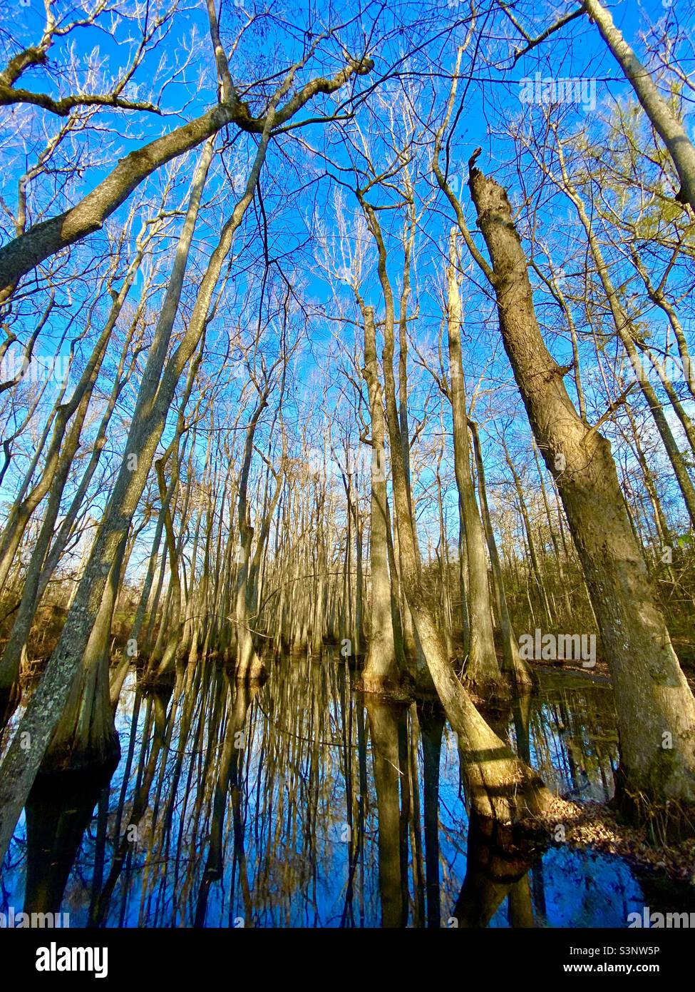 The natchez trace hi-res stock photography and images - Alamy