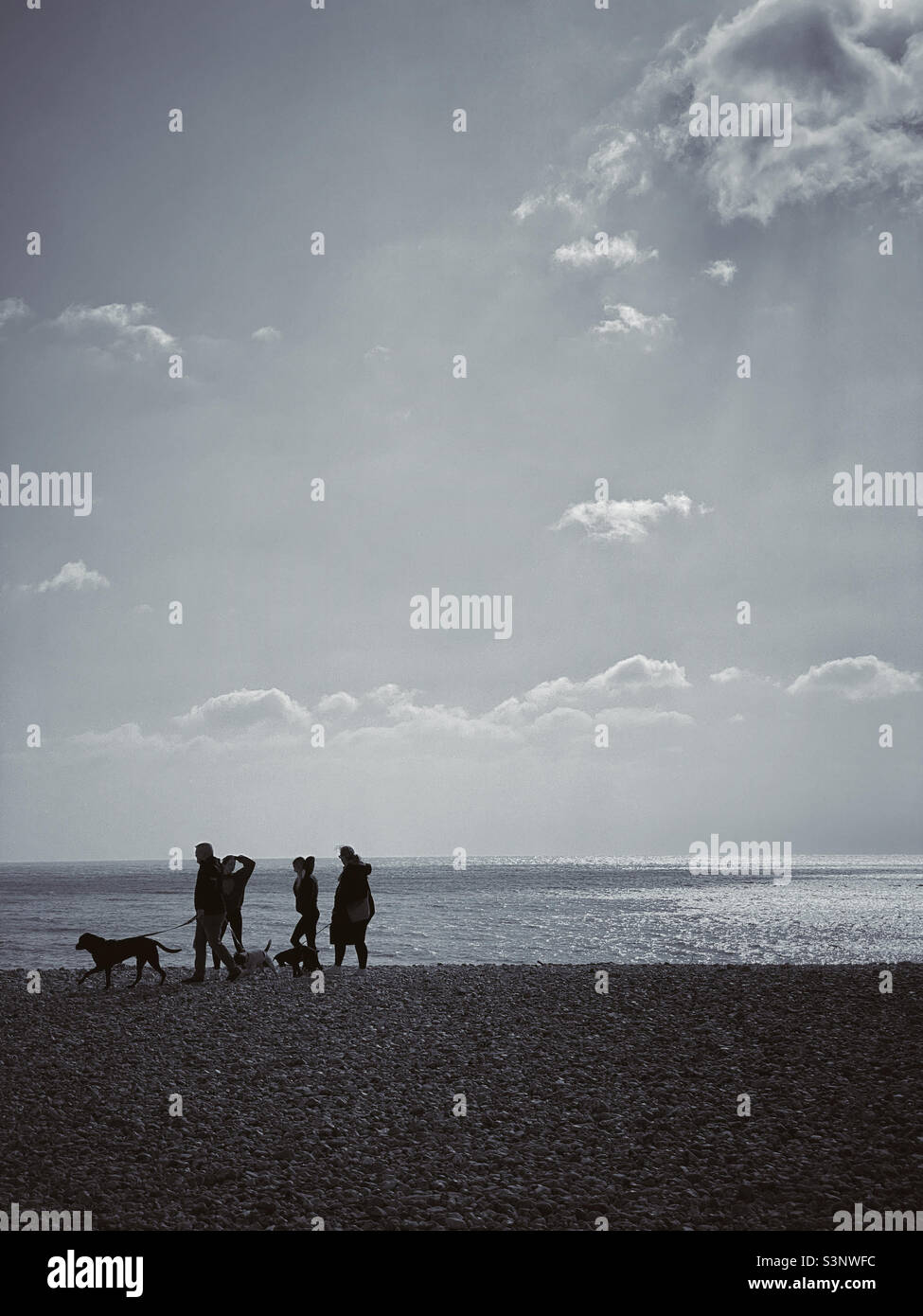 A family of four walk their three dogs along a beach. Upright (portrait) format with copy space. Photo ©️ COLIN HOSKINS. - Smartphone Captured Stock Image