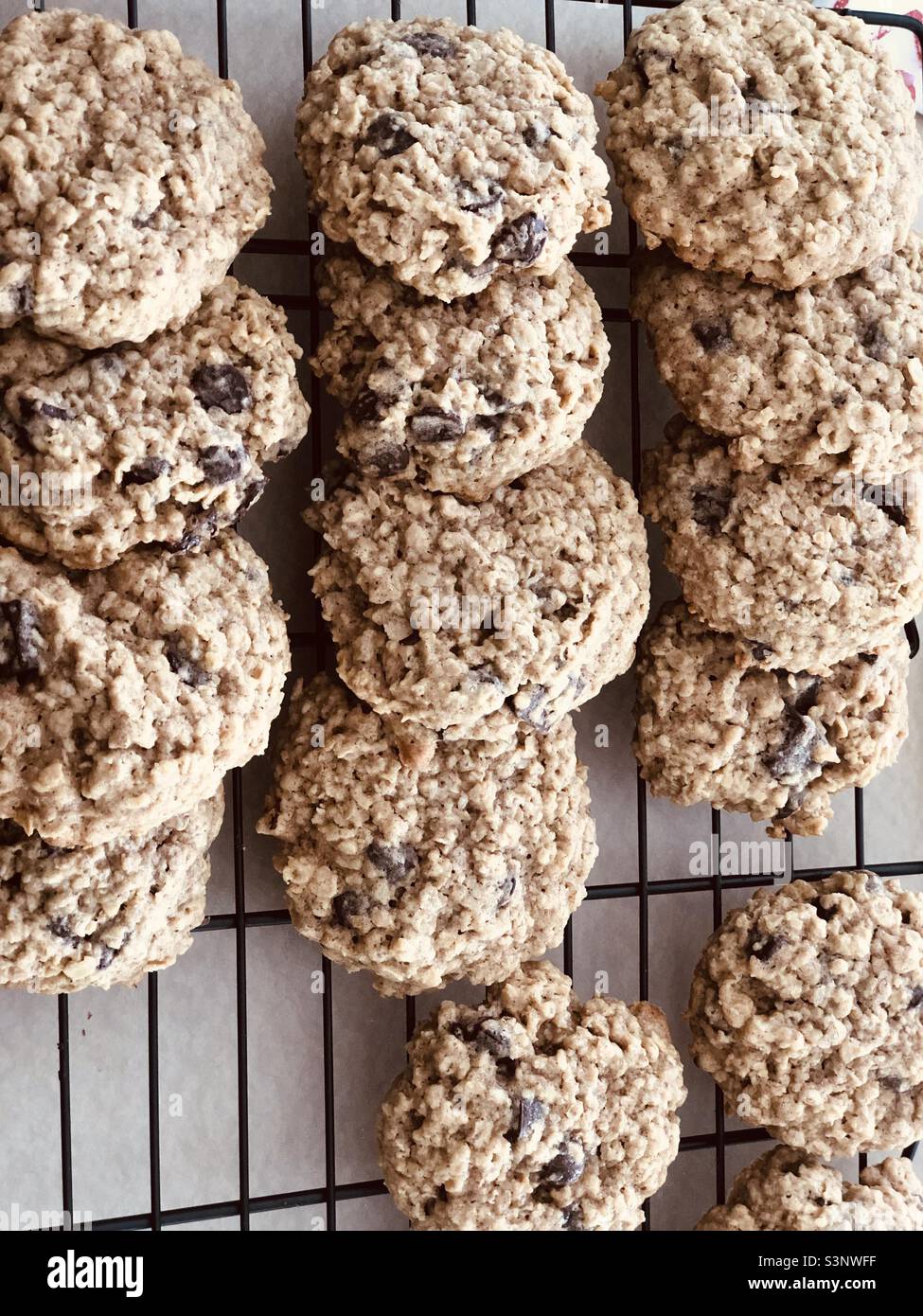 Oatmeal chocolate chip cookies Stock Photo Alamy