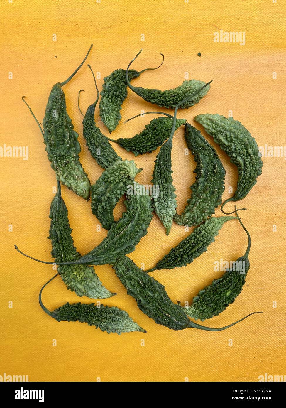 Bitter Gourd on yellow background Stock Photo Alamy