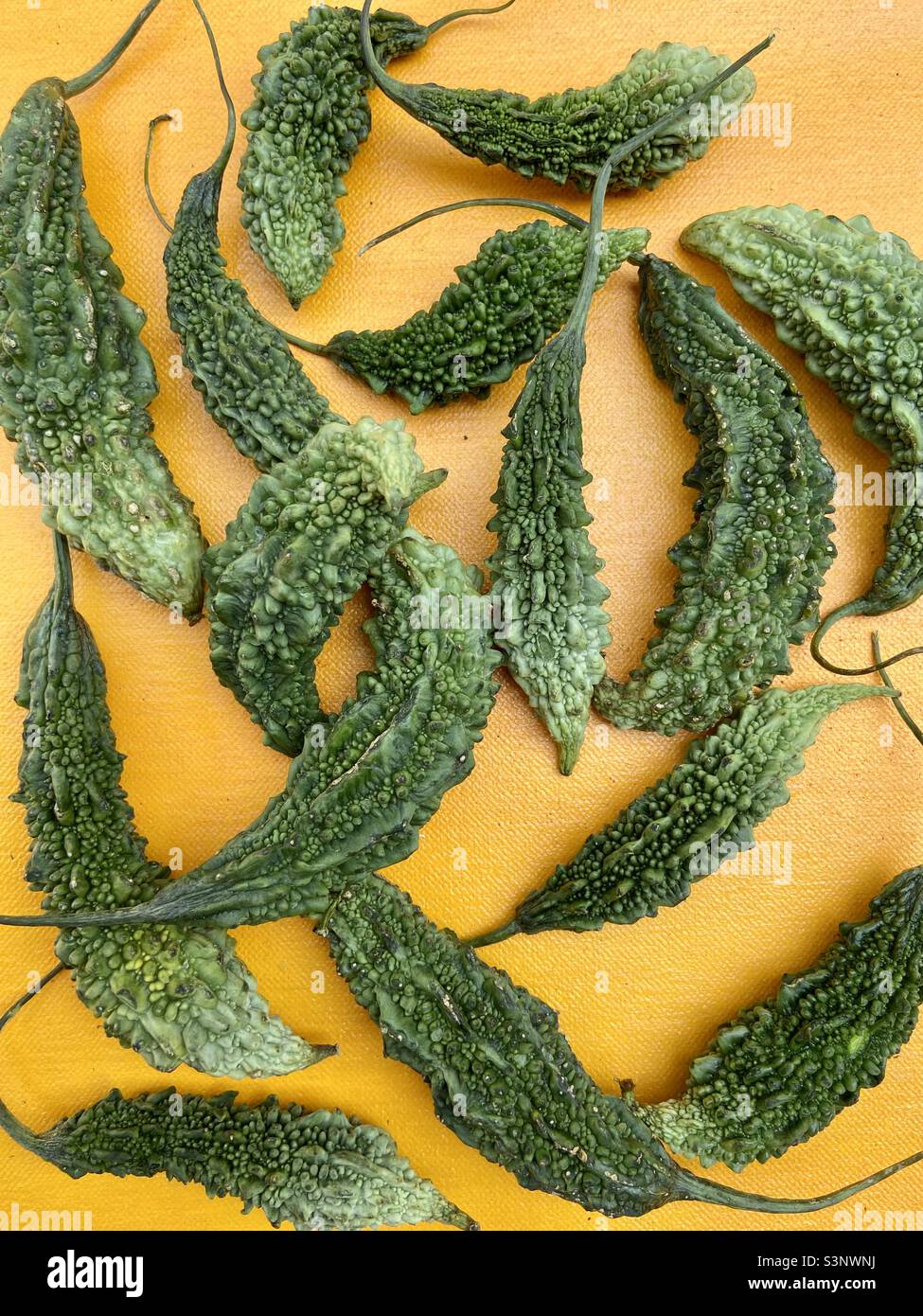 Bitter Gourd on yellow background Stock Photo Alamy