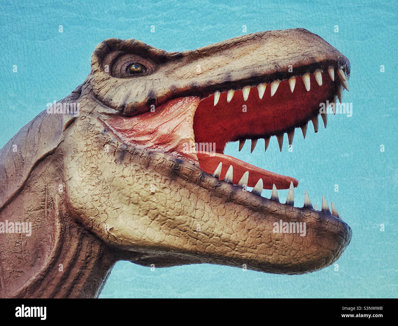 Portrait of a T-Rex Dinosaur with it’s mouth open. Almost certainly a make believe model and not a real T-Rex! Photo ©️ COLIN HOSKINS. - Smartphone Captured Stock Image