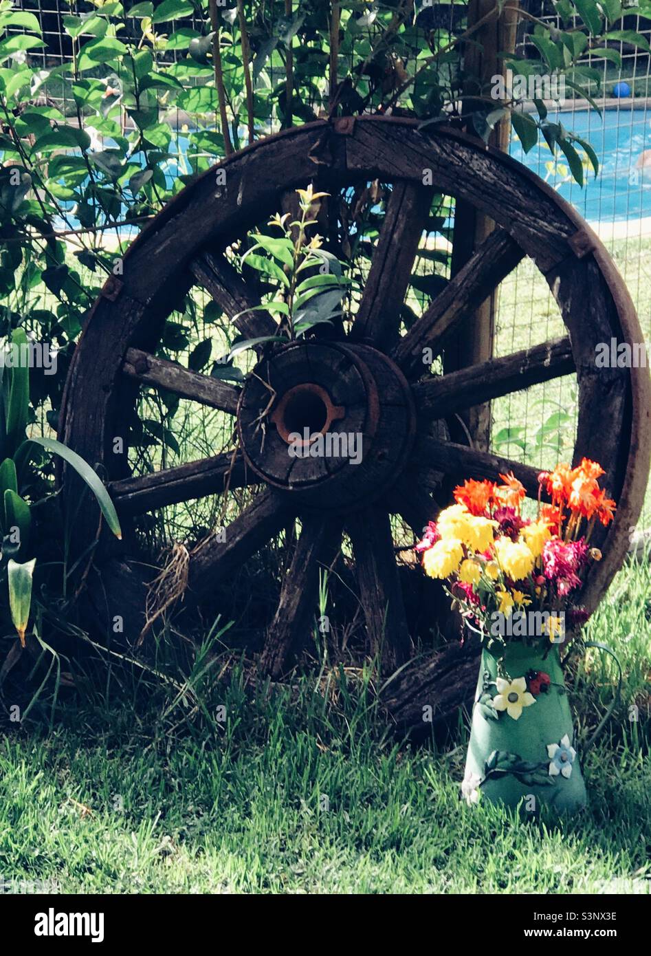 The nature picture hi-res stock photography and images - Alamy