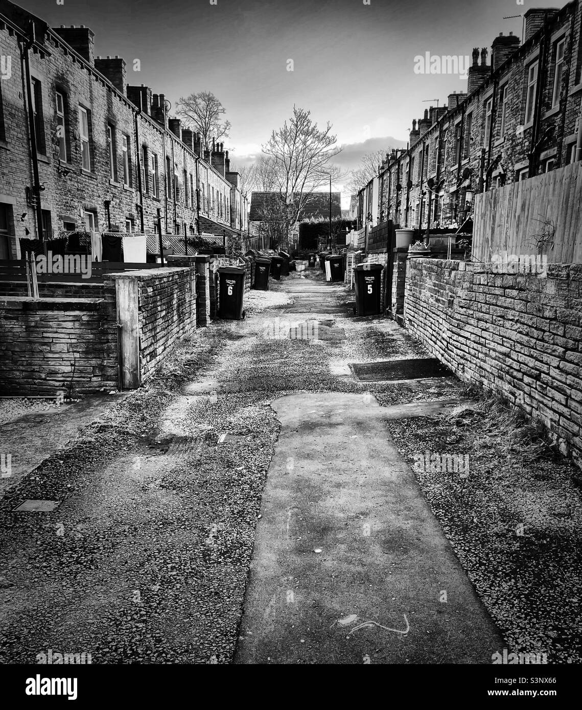 ‘Bin Day’ two rows of traditional northern terraced houses overlook