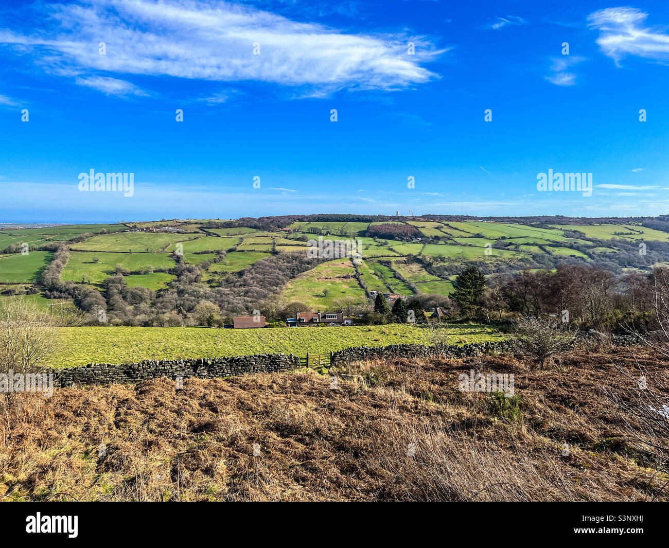 Goathland countryside in the heart of north York moors and national park - Smartphone Captured Stock Image