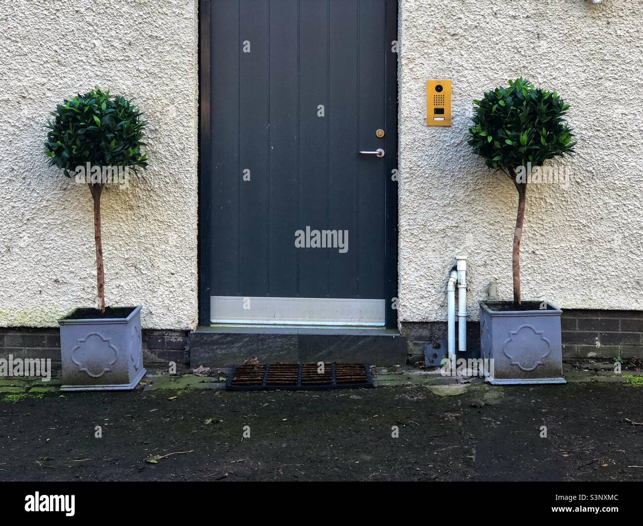 Minature trees outside property - Smartphone Captured Stock Image