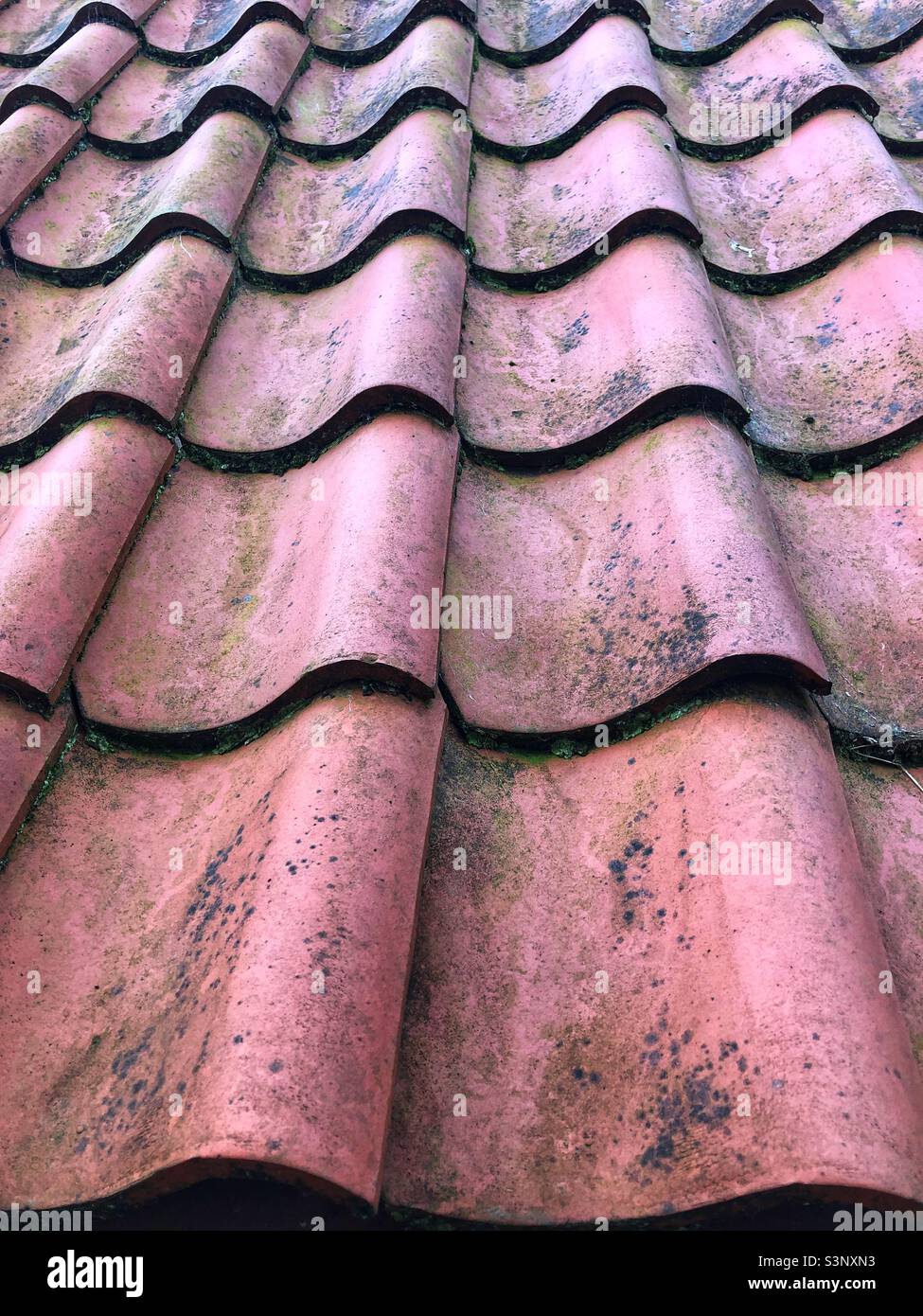 Terracotta pantile roof tiles - Smartphone Captured Stock Image