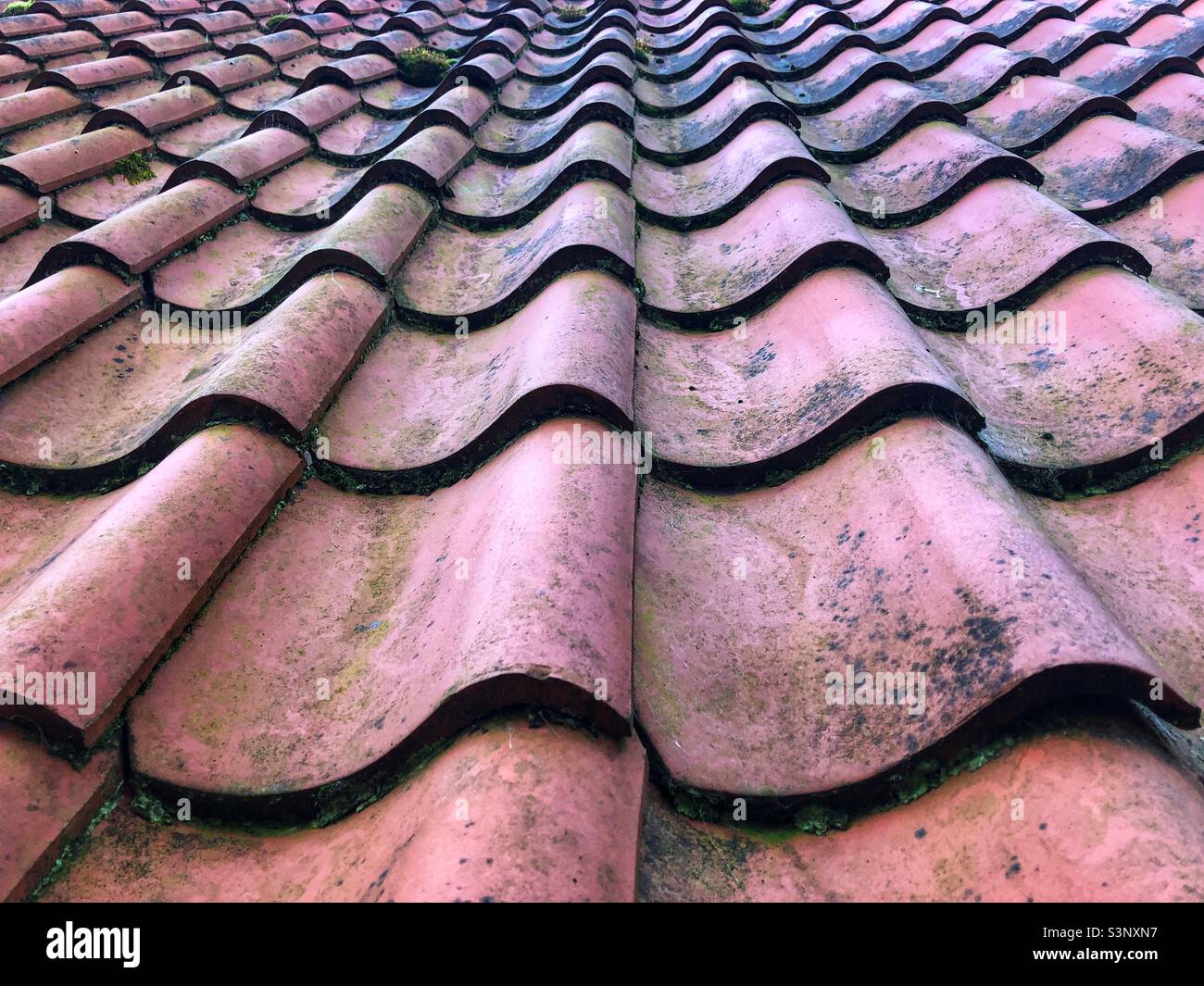 Terracotta pantile roof tiles - Smartphone Captured Stock Image