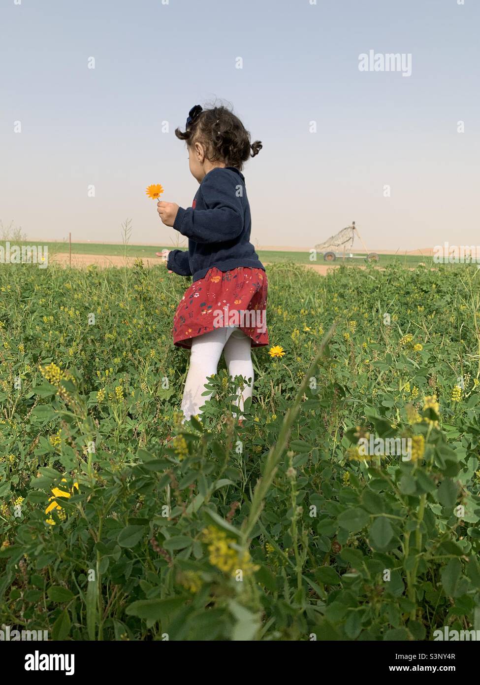 A baby girl playing with flowers Stock Photo