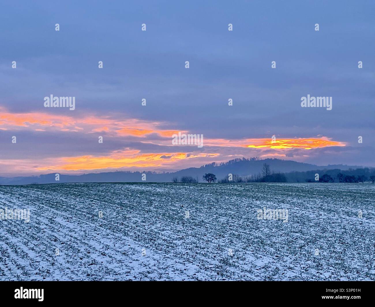 Winter Dawn - Smartphone Captured Stock Image