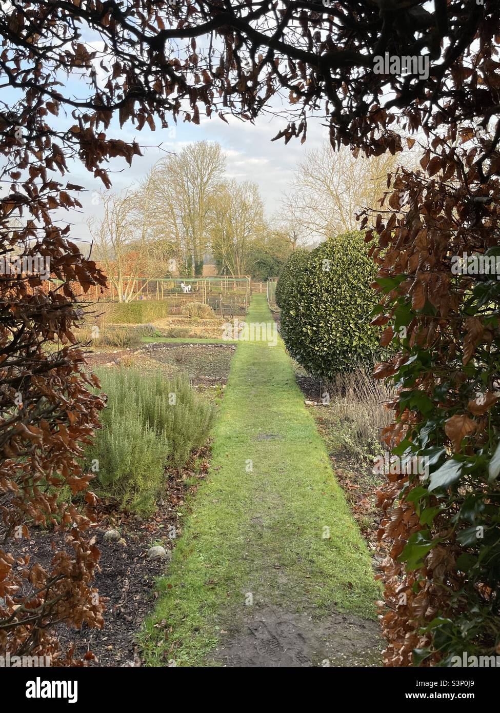 A view of Robert Carrier’s kitchen garden at Hintlesham Hall in Suffolk UK - Smartphone Captured Stock Image