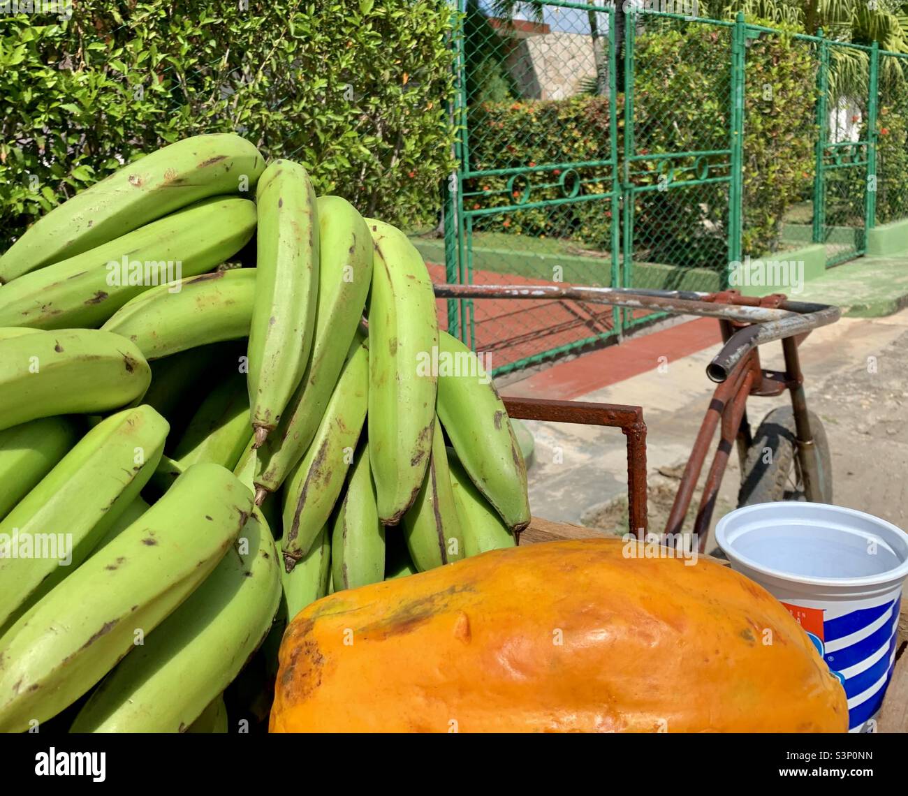 Bananas and papaya being sold in a street in Havana, Cuba. Tropical