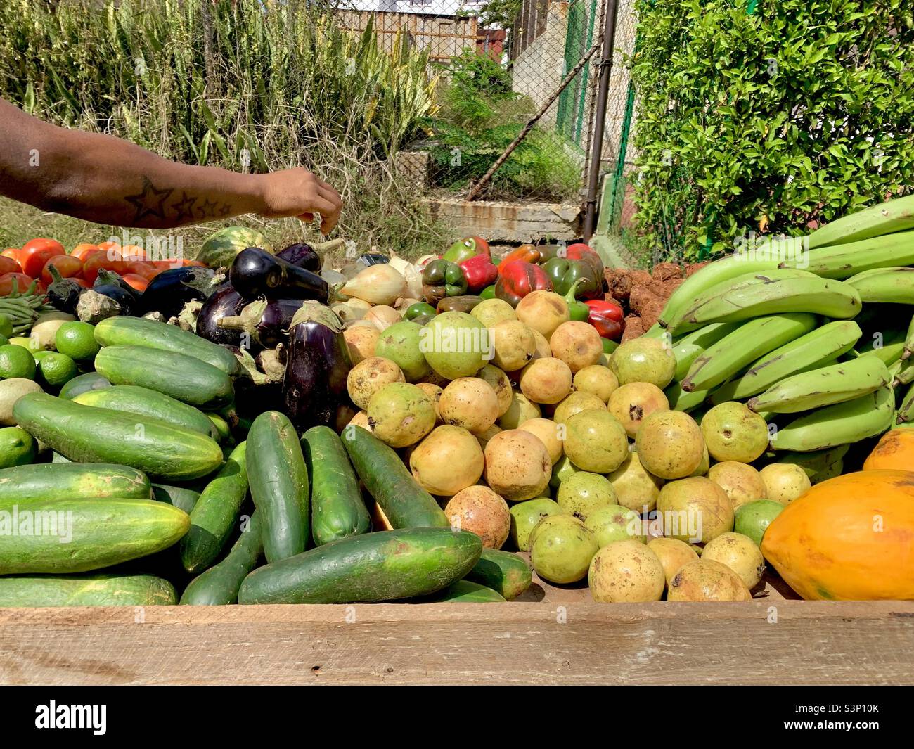 Man picking fruit from a street market. Nutrition. Tropical Fruit in Havana, Cuba, Caribbean - Smartphone Captured Stock Image