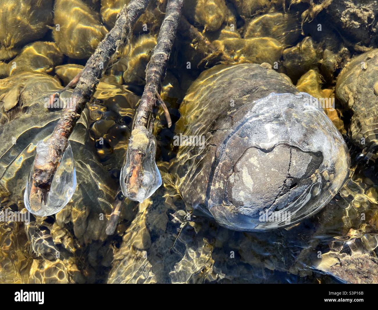Ice-covered branches and rock in river current with colourful reflections of sunlight - Smartphone Captured Stock Image