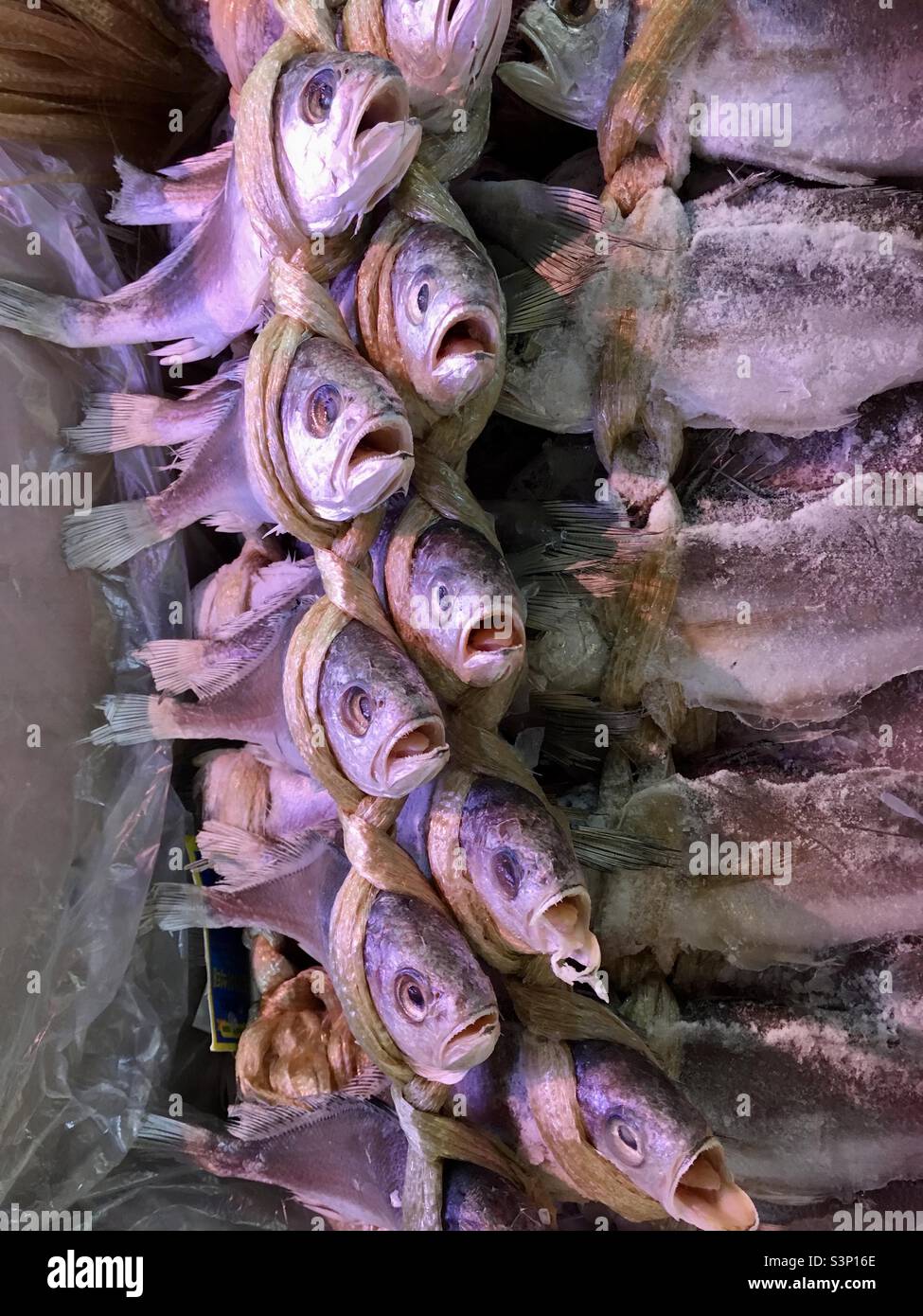 Colourful dried fish at a seafood market, tied together in a vertical row - Smartphone Captured Stock Image