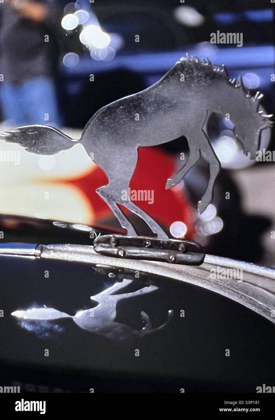 Hood ornament on vintage motor car showing a horse Stock Photo Alamy
