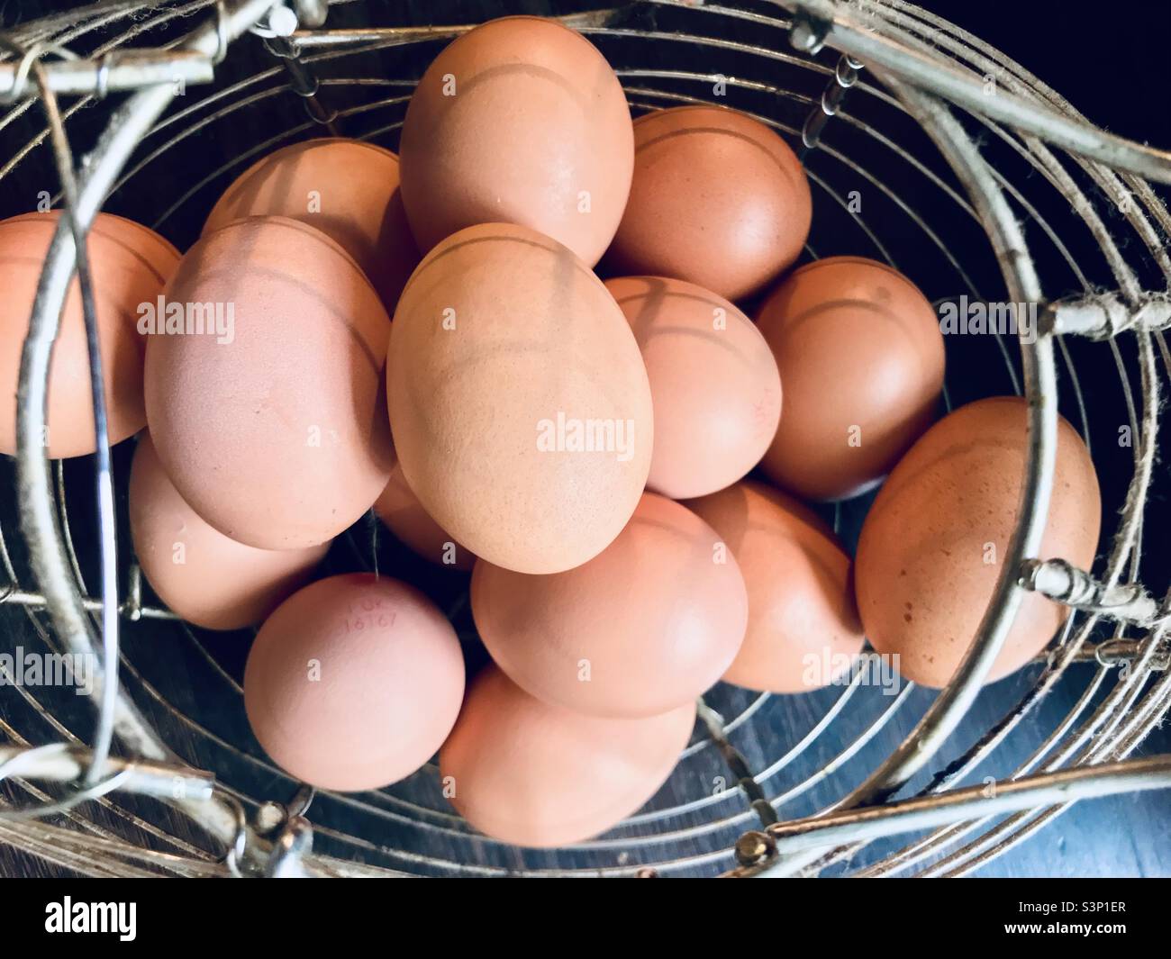 Arial view of wire chicken basket filled with eggs Stock Photo Alamy