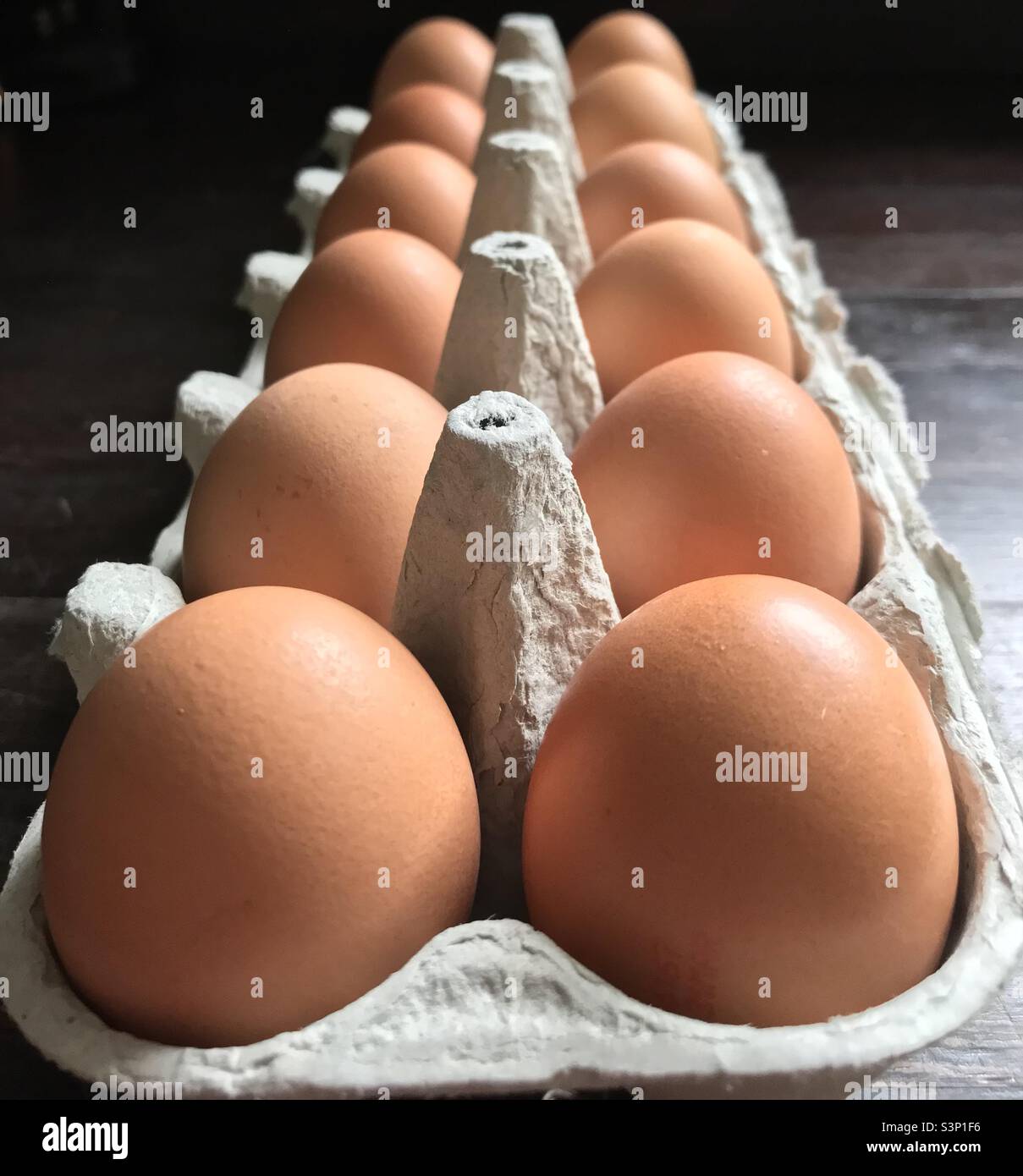 Eggs in their egg carton Stock Photo Alamy