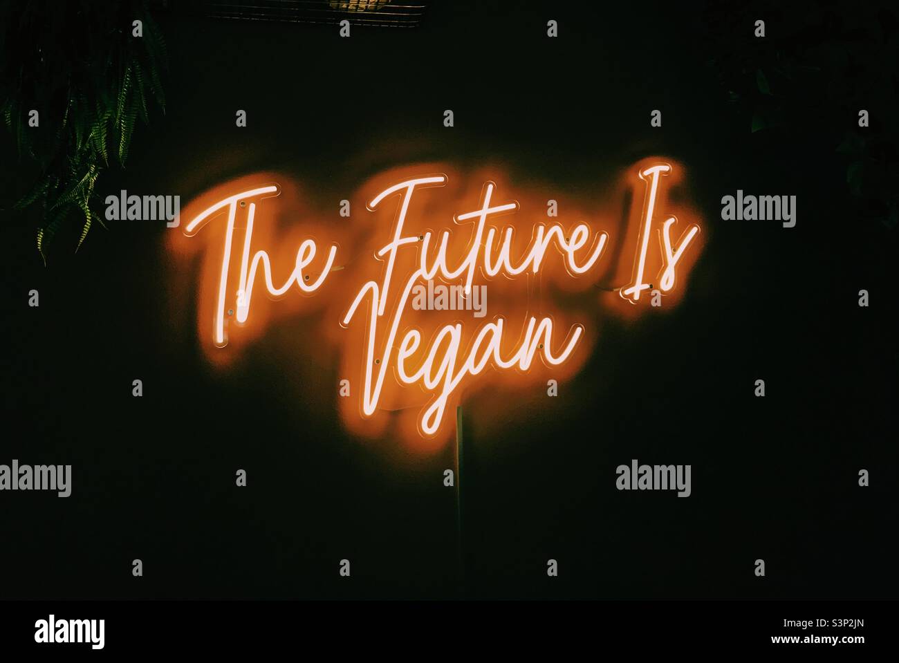 The future is vegan neon sign Stock Photo Alamy