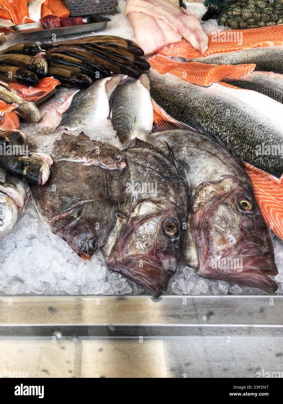 Fishmongers window - Smartphone Captured Stock Image