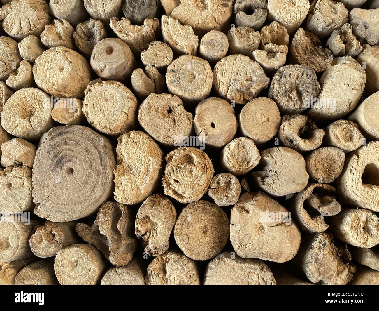 Pieces of cork Stock Photo