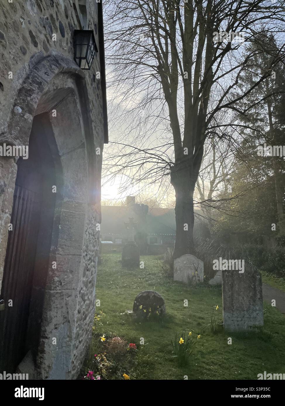 Atmospheric Churchyard spring flowers early morning Cambridgeshire - Smartphone Captured Stock Image