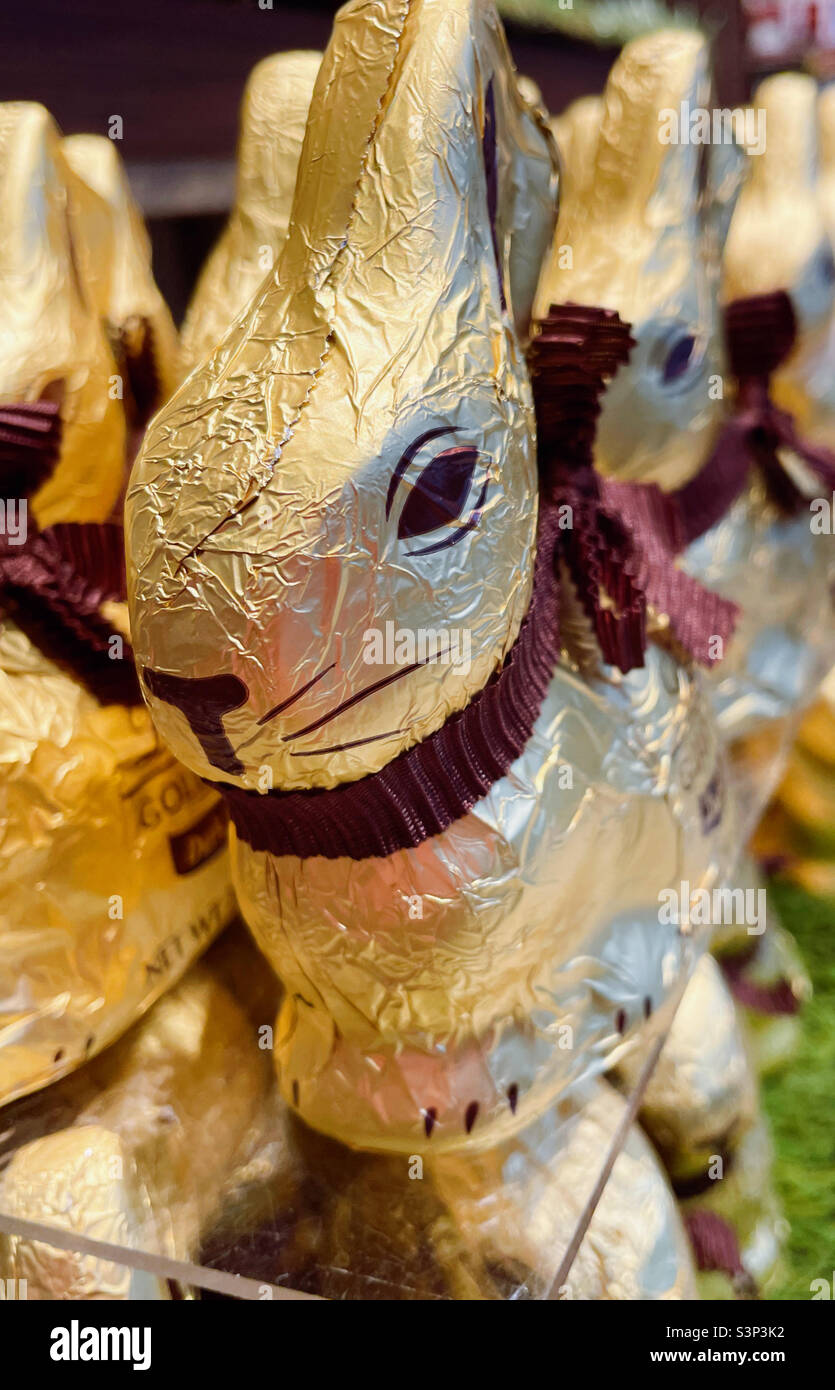 Close up of an Easter bunnies gold foil wrapped chocolates, 2022, USA Stock Photo