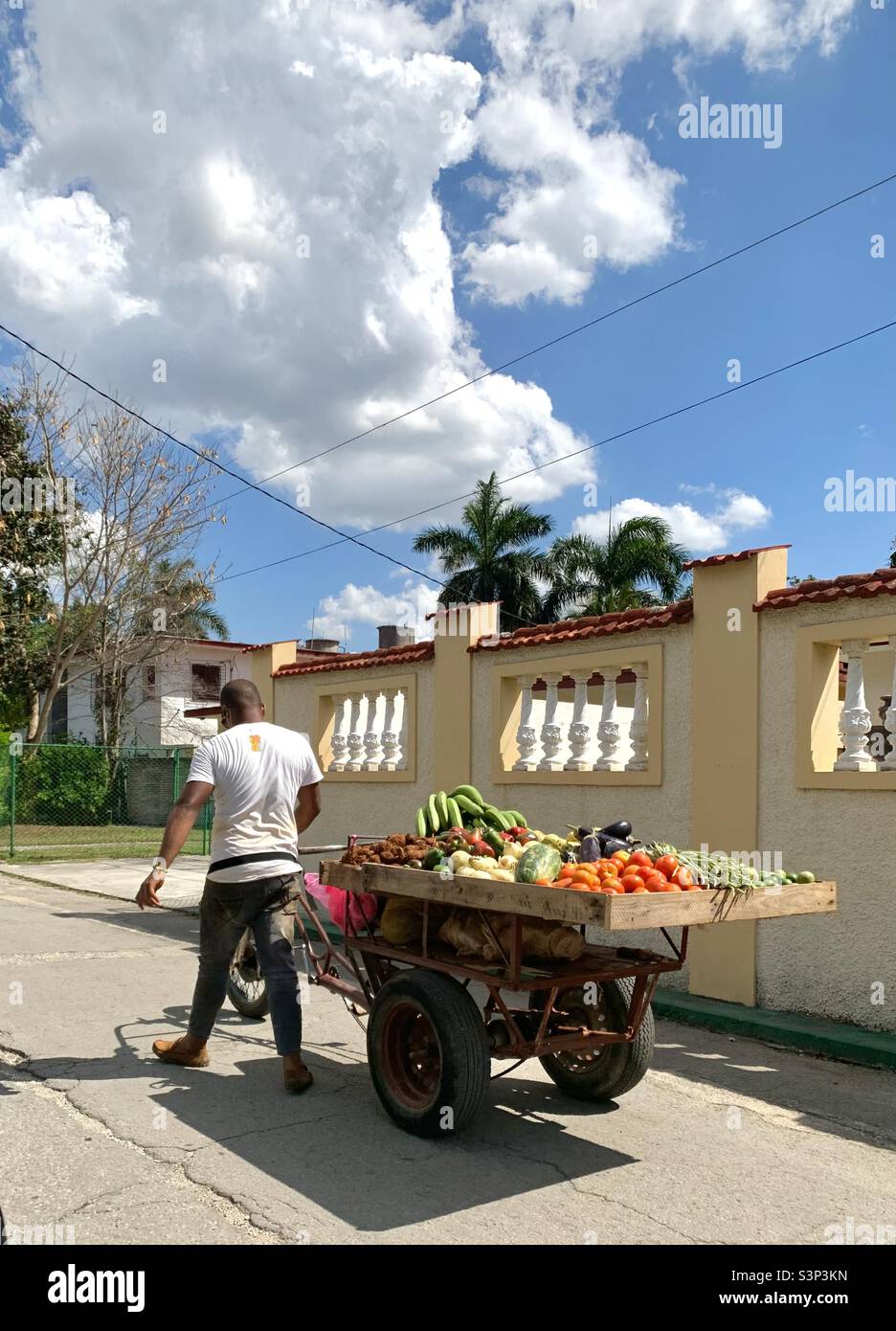 Man pulling a cart with fruit and vegetables in a street in Havana, Cuba - Smartphone Captured Stock Image