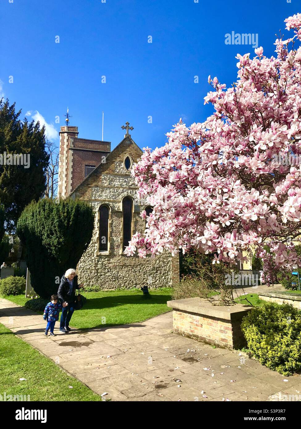 Spring blossom at St. Mary’s Church, Barnes, London, SW13, England, U.K. Stock Photo