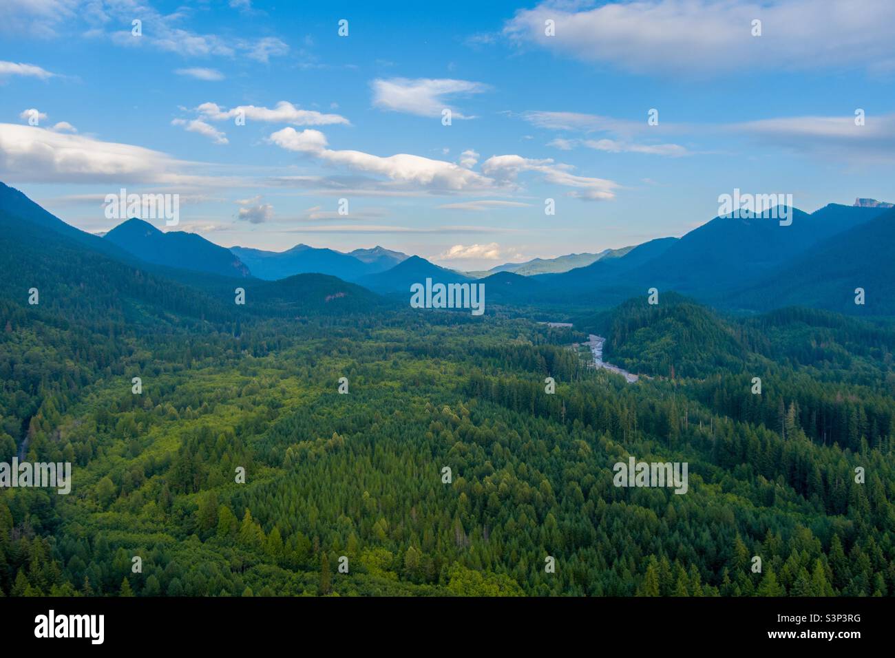 Cascade mountains in August - Smartphone Captured Stock Image