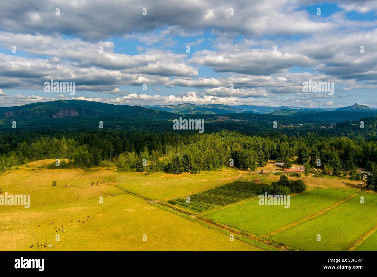 Mount Rainier on a cloudy day - Smartphone Captured Stock Image