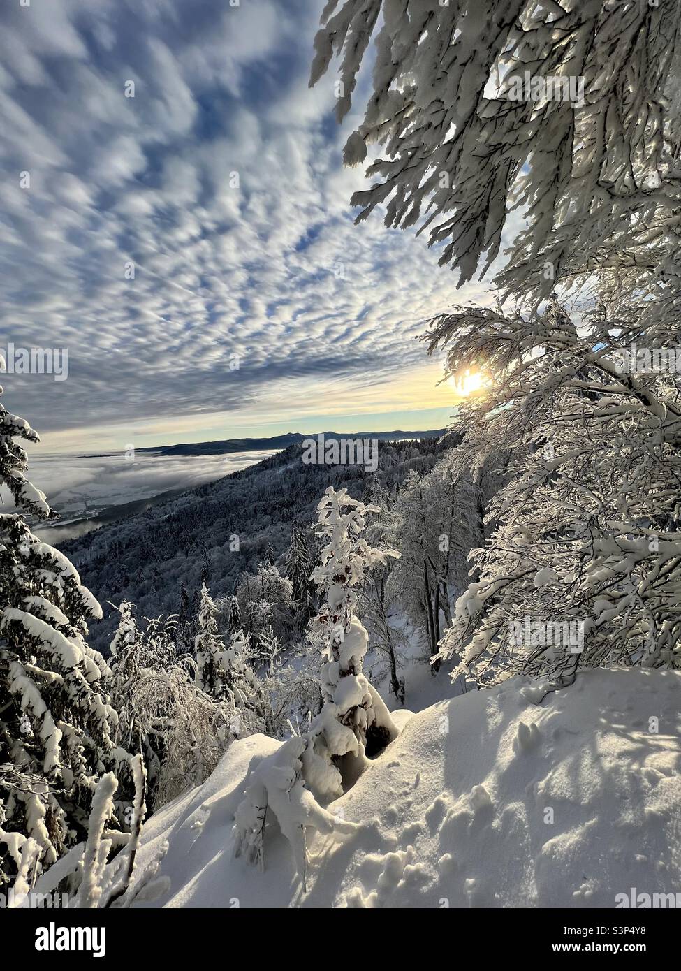 Winterwunderland Winterwonderland Stock Photo