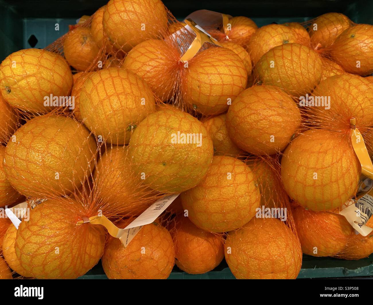 https://c8.alamy.com/comp/S3P508/bags-of-fresh-oranges-S3P508.jpg