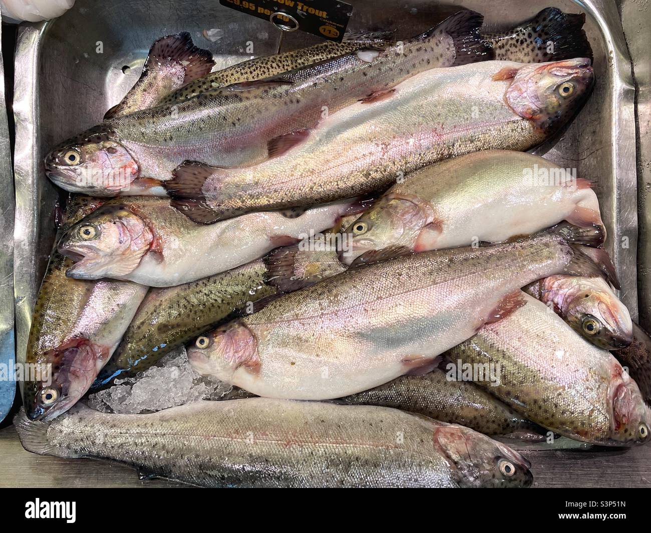 Fresh rainbow trout on display in a fish market Stock Photo
