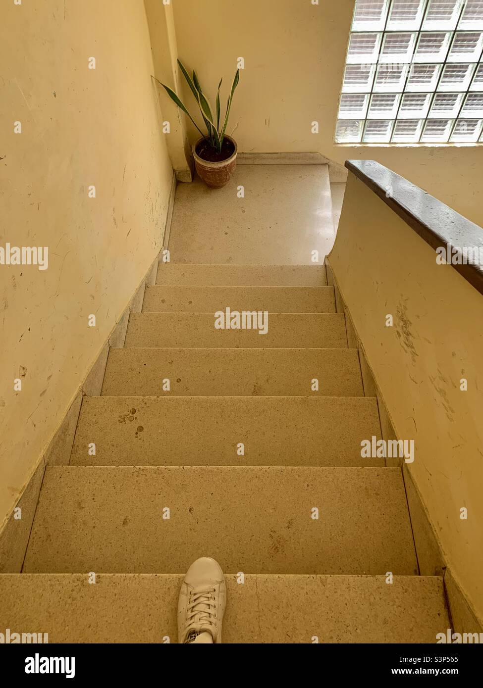 Going down the stairs with the first rays of sun in Havana, Cuba. Urban decay. Dirty stairs. - Smartphone Captured Stock Image
