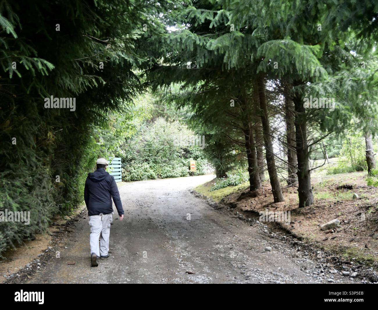Walking in nature hi-res stock photography and images - Alamy