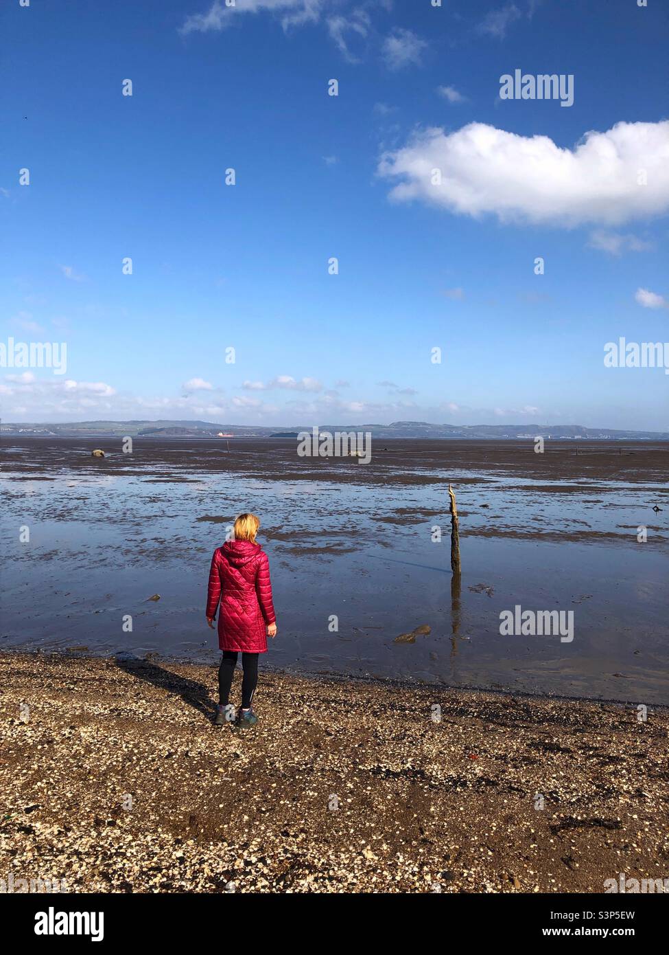 Woman hiker looking out to the Firth estuary at low tide, Scotland - Smartphone Captured Stock Image